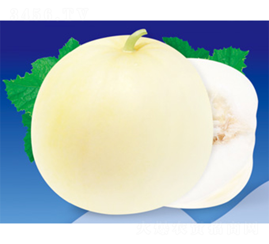 �����ŵ�-��ϷN��-����N�I(y��)