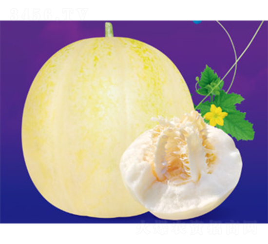 ����ŷ�-��ϷN��-����N�I(y��)