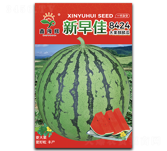 新早佳-西瓜種子-豫輝種業(yè)