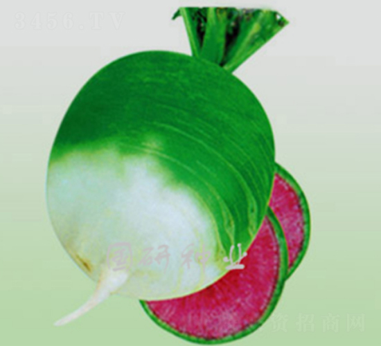 �����M�üt-�}���N��-���зN�I(y��)