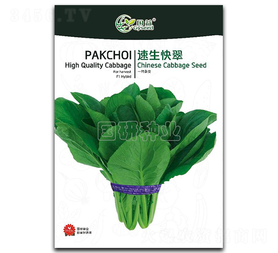 速生快翠-小白菜種子-國研種業(yè)
