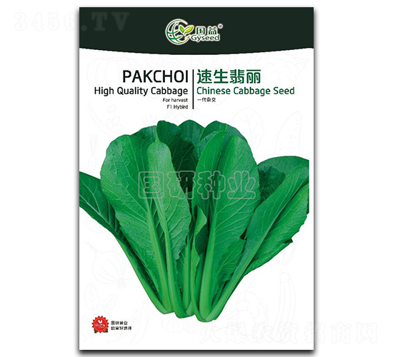 速生翡麗-小白菜種子-國(guó)研種業(yè)