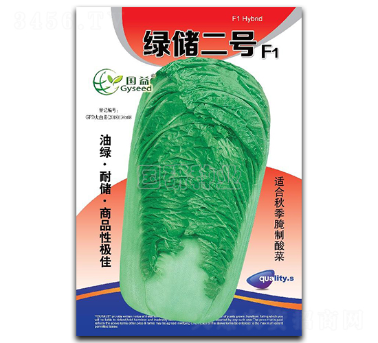 綠儲二號-白菜種子-國研種業(yè)