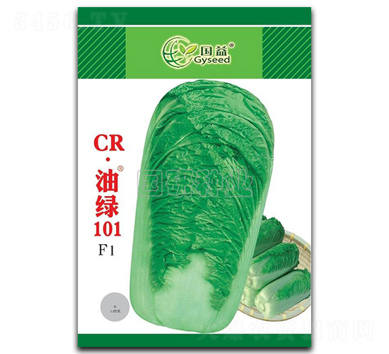CR油綠101-白菜種子-國研種業(yè)