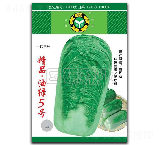 油綠5號(hào)-白菜種子-國(guó)研種業(yè)