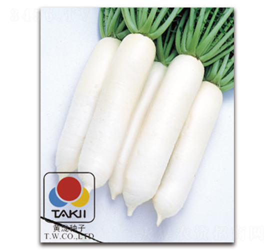 �מ{-�}���N��-�S�{�N��