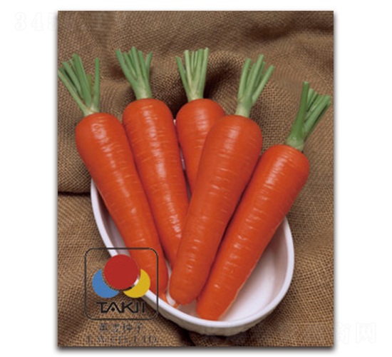 �t����-���}���N��-�S�{�N��