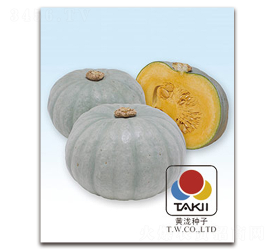 �y������-�ϹϷN��-�S�{�N��