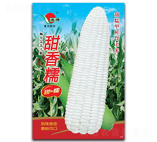 甜香糯-糯玉米種子-仁大農(nóng)業(yè)
