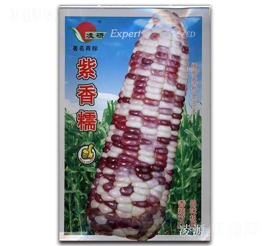 紫香糯-糯玉米種子-仁大農(nóng)業(yè)