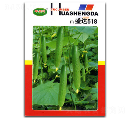 盛達518-黃瓜種子-官明天成