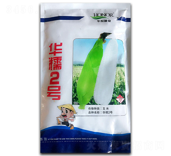 華糯2號(hào)-玉米種子-官明天成