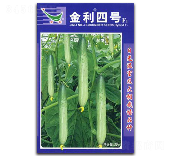 金利四號(hào)F1-黃瓜種子-仁大農(nóng)業(yè)