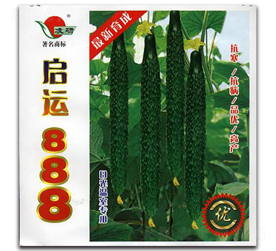 啟運(yùn)888黃瓜-黃瓜種子-仁大農(nóng)業(yè)