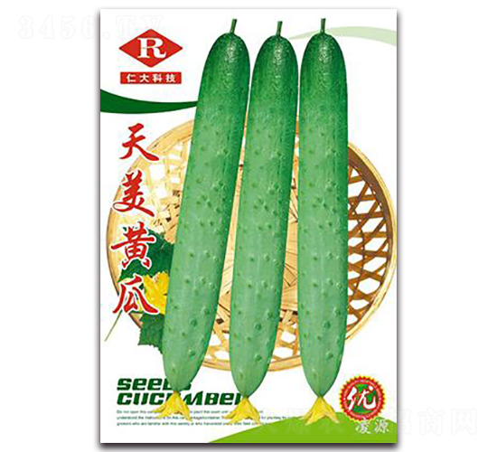天美黃瓜-黃瓜種子-仁大農(nóng)業(yè)