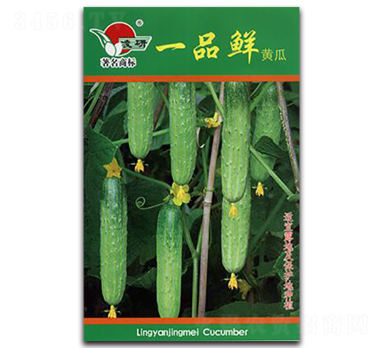 һƷ�r�S��-�S�ϷN��-�ʴ��r�I(y��)