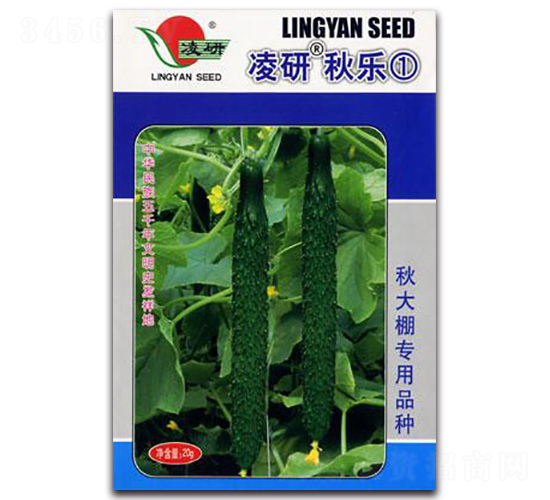 �����(l��)��-�S�ϷN��-�ʴ��r(n��ng)�I(y��)