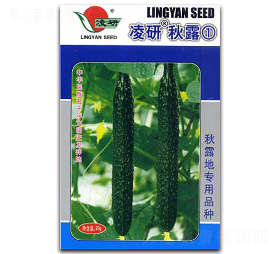 ������¶��-�S�ϷN��-�ʴ��r(n��ng)�I(y��)