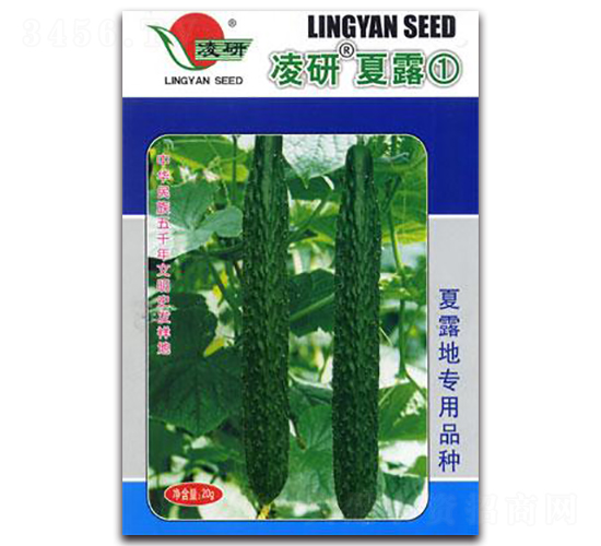 ������¶��-�S�ϷN��-�ʴ��r(n��ng)�I(y��)