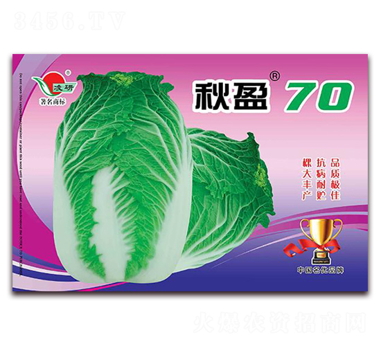 秋盈70-白菜種子-仁大農業(yè)