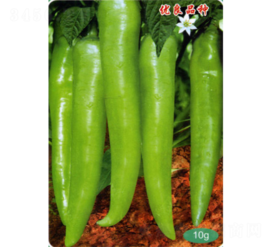 ǰ���L��-�����N��-�������