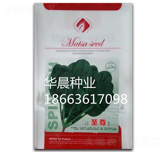 至尊-菠菜種子-華晨種業(yè)