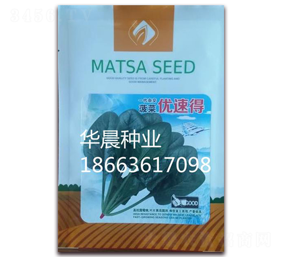 優(yōu)速得-菠菜種子-華晨種業(yè)