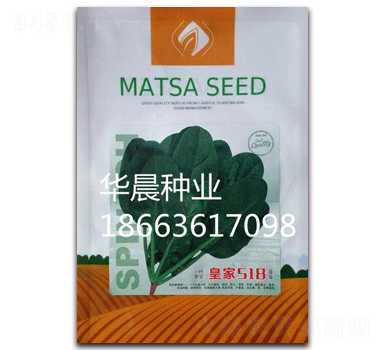皇家518-菠菜種子-華晨種業(yè)