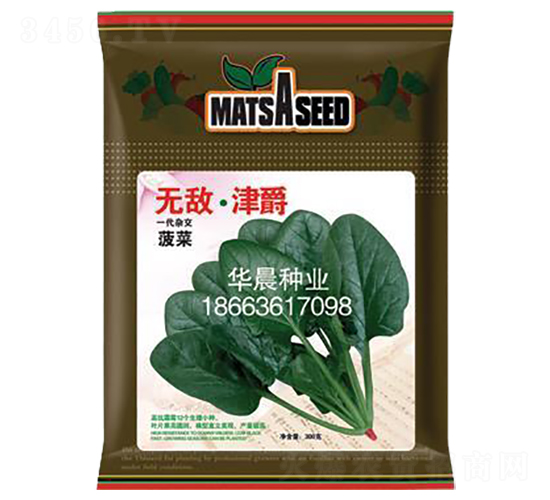無敵·津爵-菠菜種子-華晨種業(yè)