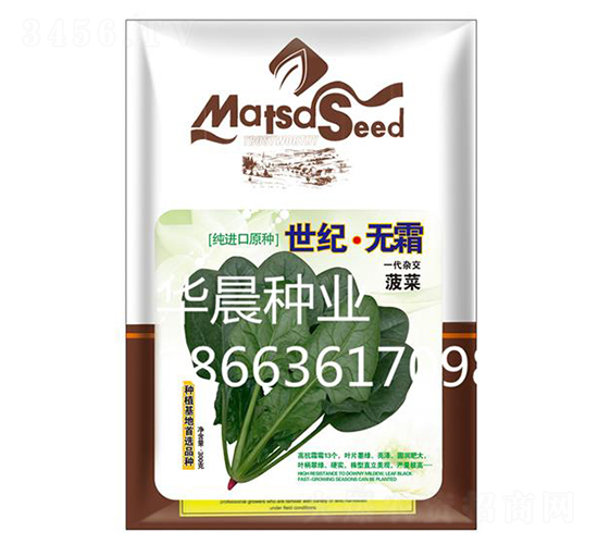 世紀(jì)·無霜菠菜-菠菜種子-華晨種業(yè)