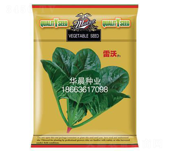 雷沃F1-菠菜種子-華晨種業(yè)