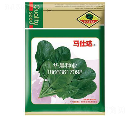 馬仕達(dá)F1-菠菜種子-華晨種業(yè)