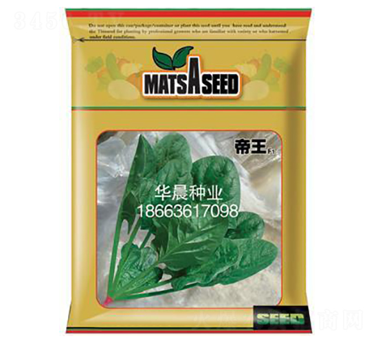 帝王F1-菠菜種子-華晨種業(yè)