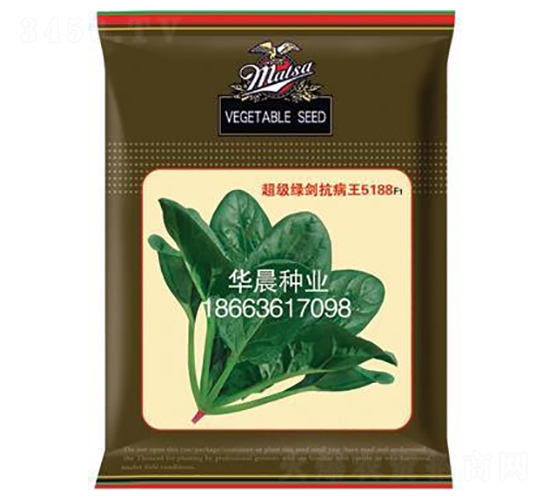 超級綠劍抗病王5188F1-菠菜種子-華晨種業(yè)