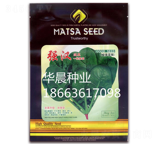 強漢-菠菜種子-華晨種業(yè)
