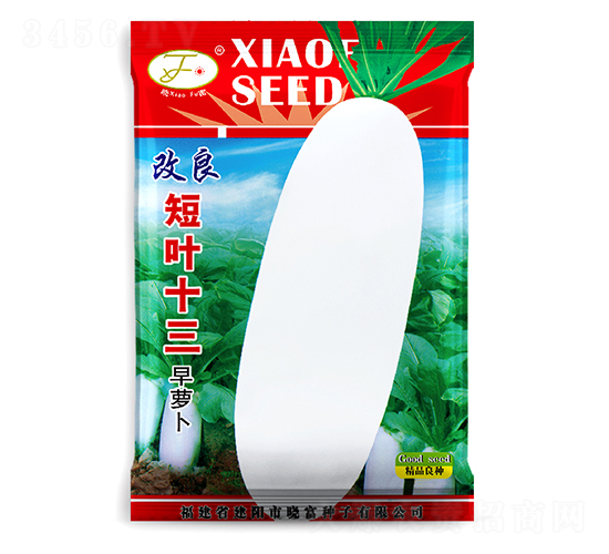 �������~ʮ��-�}���N��-�Ը��N��