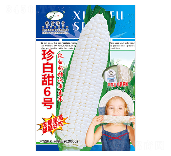 �����6̖-���׷N��-�Ը��N��