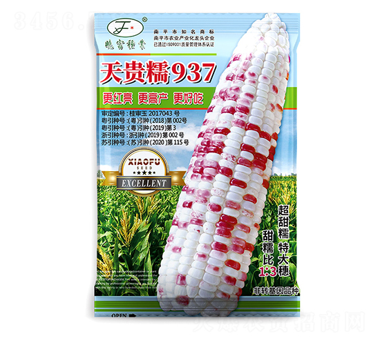 ���FŴ937-���׷N��-�Ը��N��