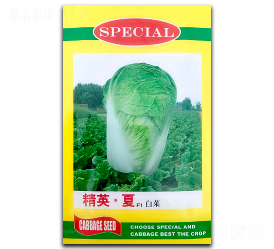 精英夏F1-白菜種子-官明天成