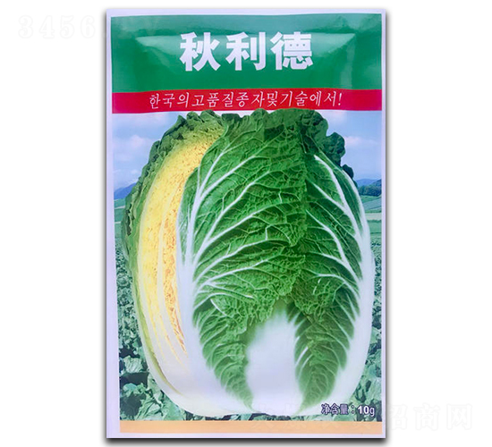 ������-�ײ˷N��-�������