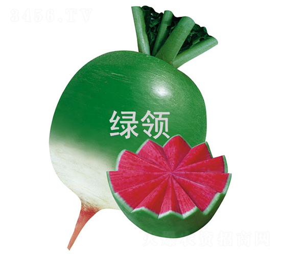 �G�I(l��ng)�M�üt-�}���N��-�G�I(l��ng)�N�I(y��)