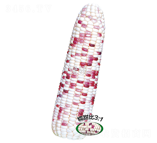 ���ʻ�Ŵ5̖-Ŵ���׷N��-�G�I�N�I(y��)