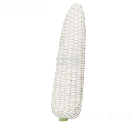 ��Ŵ3̖(h��o)-���׷N��-�G�I(l��ng)�N�I(y��)