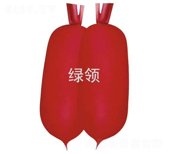 ���t-�}���N��-�G�I(l��ng)�N�I(y��)