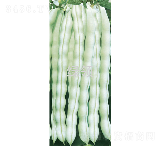 ����(j��)����-�ܶ��N��-�G�I(l��ng)�N�I(y��)