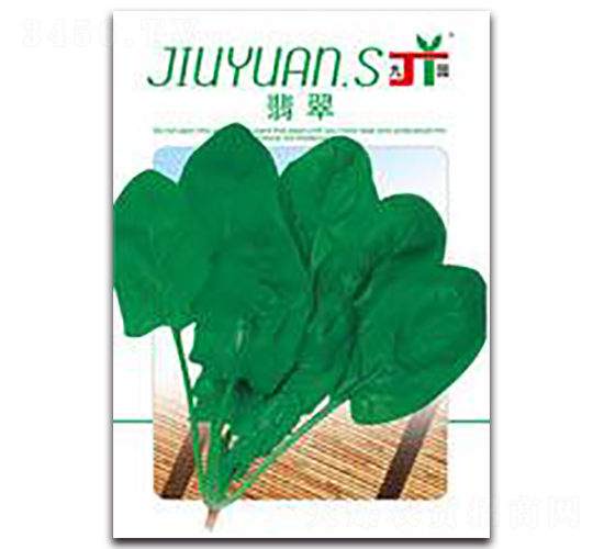 ���-���˷N��-�����Z