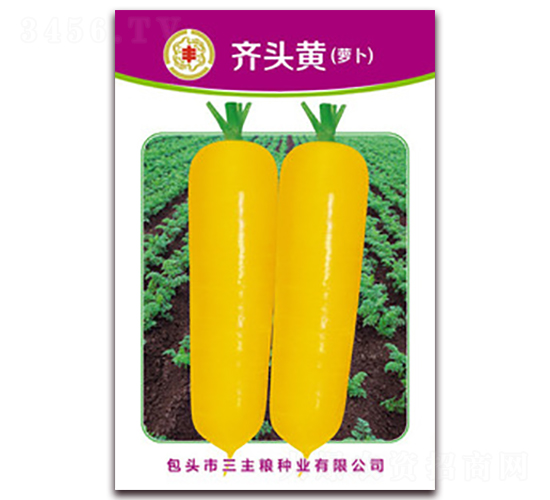 �R�^�S�}��-�}���N��-�����Z