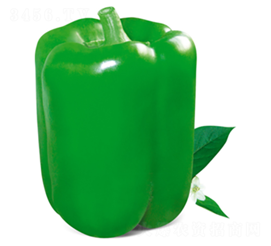 ¹��ʮ��̖-�����N��-�����Z