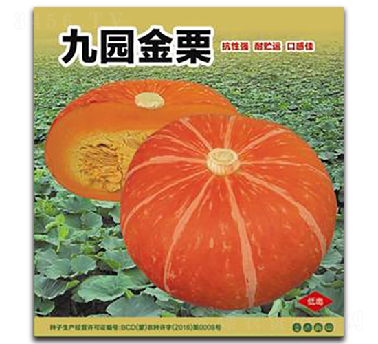 九園金栗-南瓜種子-三主糧