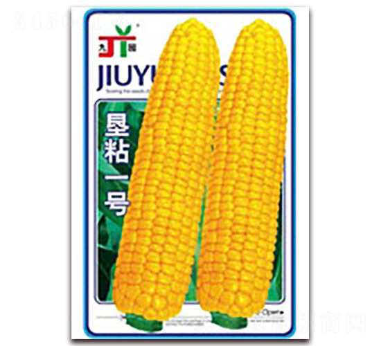 ��ճһ̖-Ŵ���׷N��-�����Z